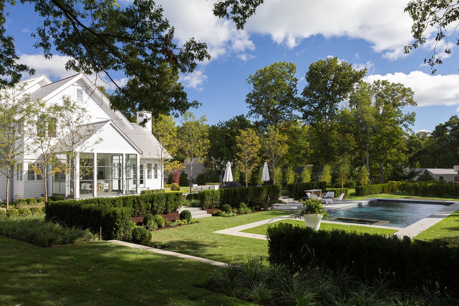 Weed Street Backyard